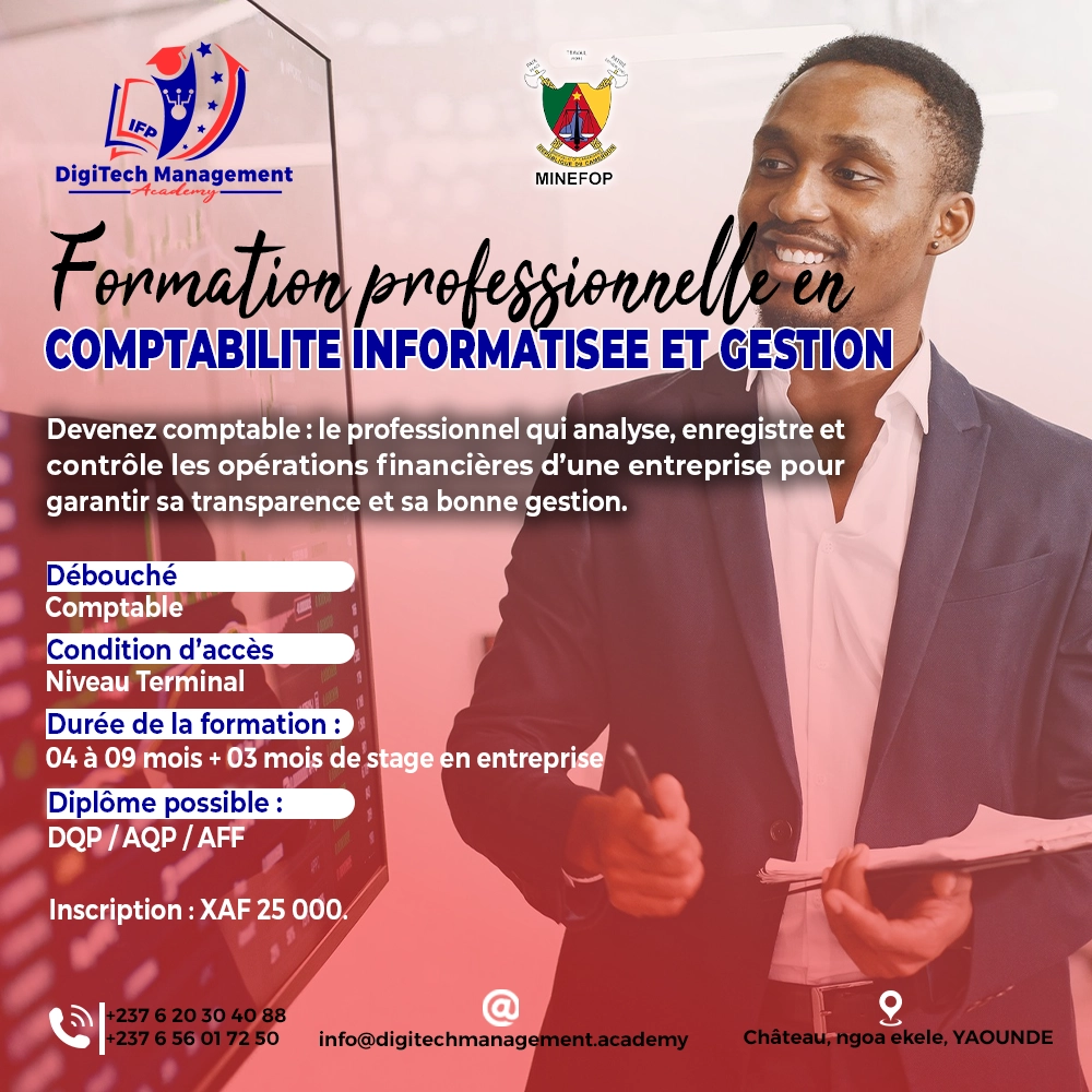 formation professionnelle en comptabilité informatisée et gestion au Cameroun